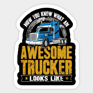 Now you know what an awesome trucker looks like Sticker